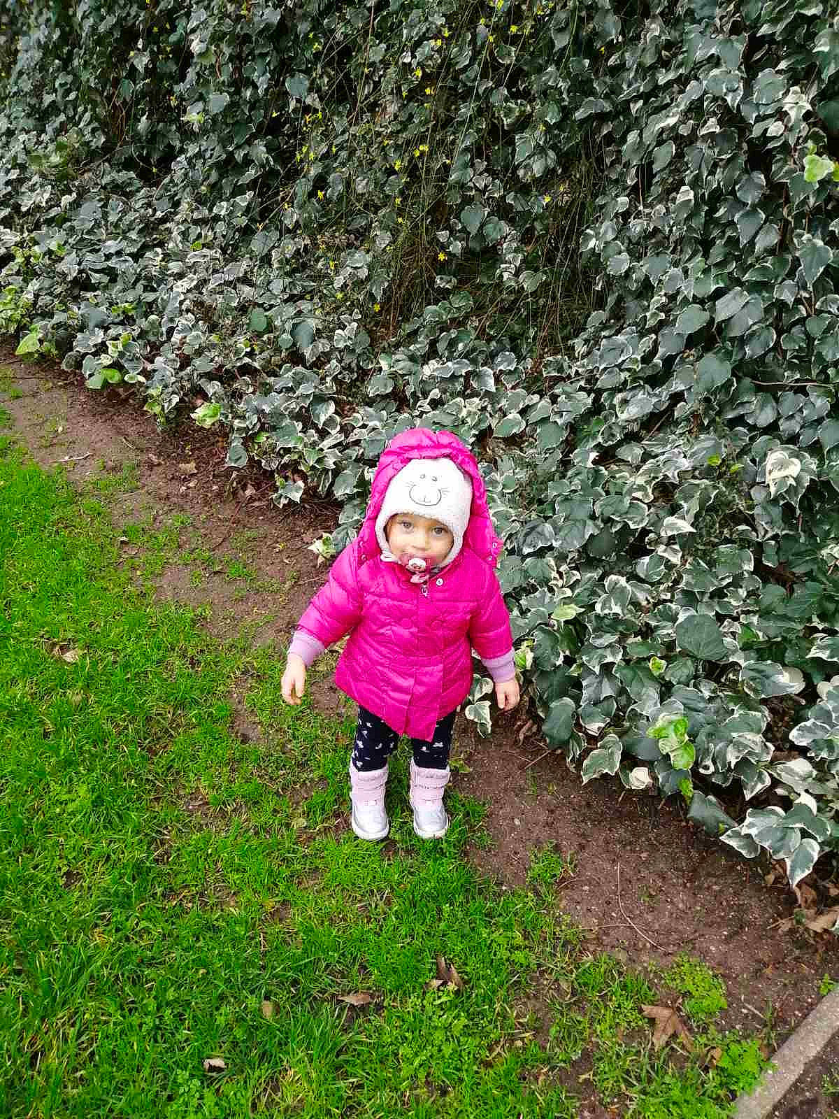 Ivana a rejoint le concours — aidez-le/la à gagner de superbes lots ! annual_plant, baby, baby_toddler_clothing, child, clothing, garden, grass, groundcover, headwear, hedge, landscape, magenta, natural_landscape, people_in_nature, person, plant, shrub, soil, toddler, tree