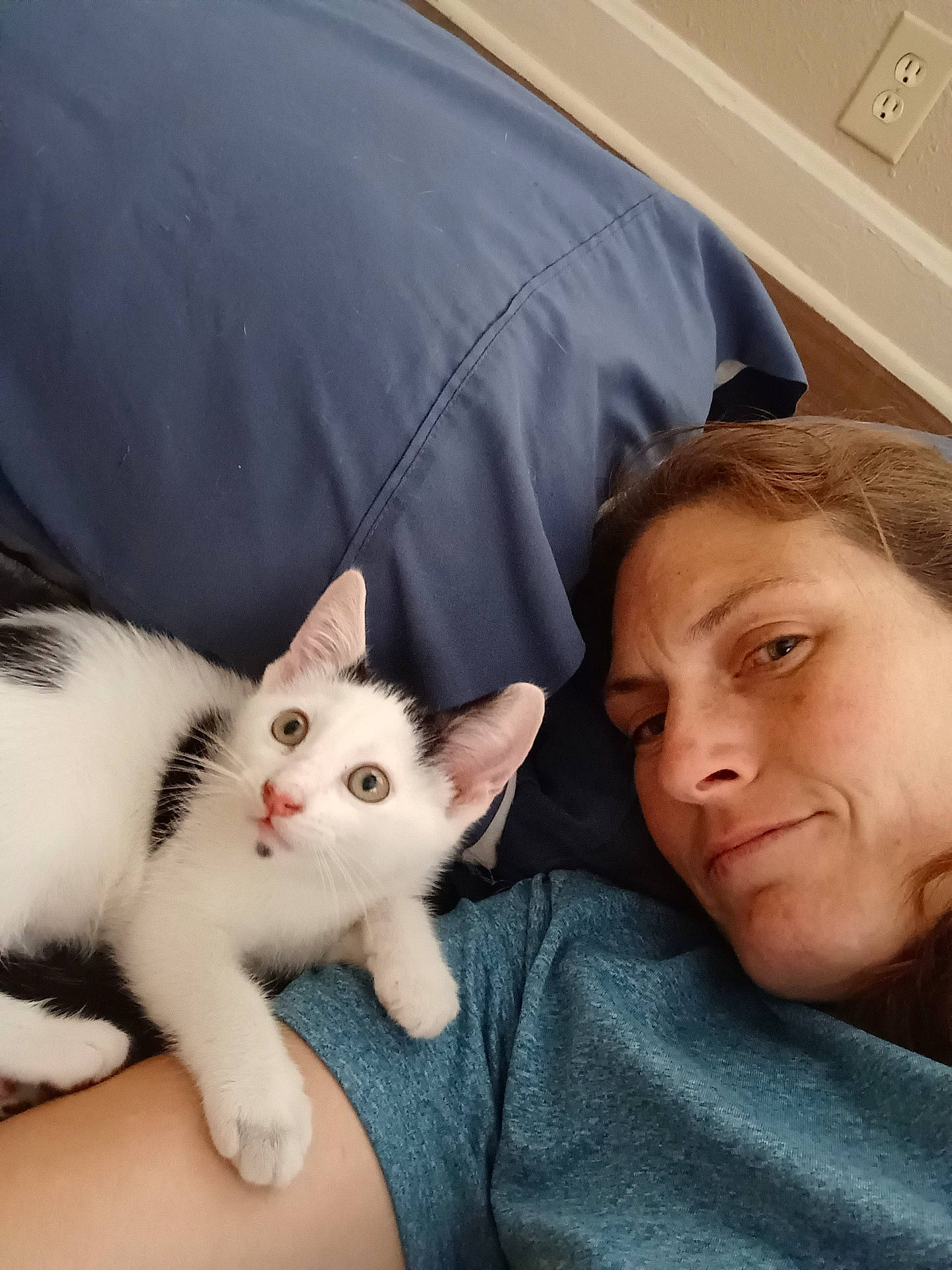 animal, baby, bed, bedroom, blanket, cat, couch, cushion, face, furniture, head, homedecor, indoors, kitten, person, pet, photography, portrait, room, sleeping