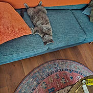 Totoro joined the competition — help win amazing prizes! cat, gray_cat, couch, orange_pillow, teal_couch, wooden_floor, rug, patterned_rug, relaxed, indoor, pet, furniture, cozy, home, animal, fur, whiskers, paw, upside_down, resting