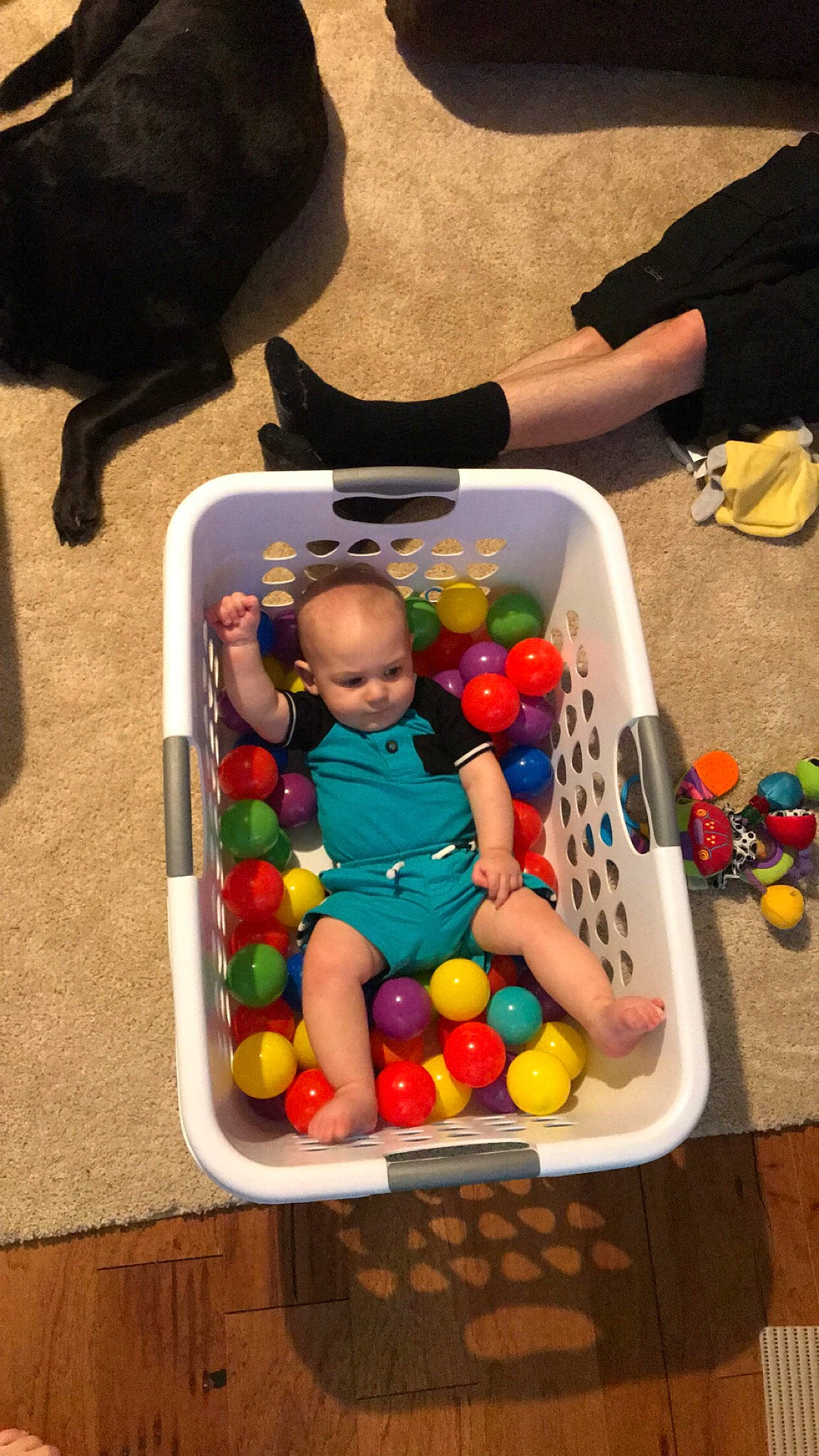 Greysen is registered to the contest to win money with this photo: baby_toys, child, food, fun, games, person, play, toddler, toy