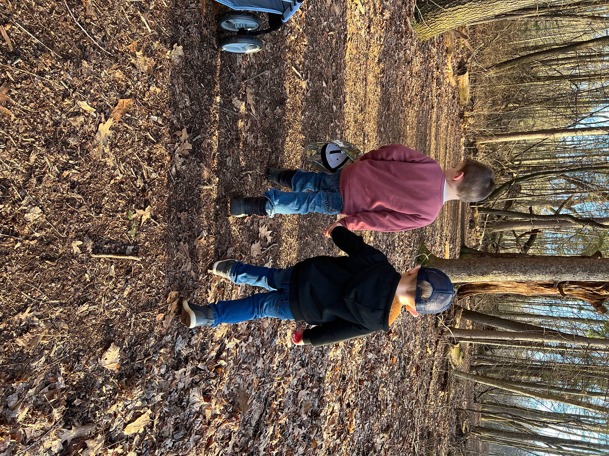 Damian is registered to the contest to win money with this photo: fun, grass, landscape, leisure, people_in_nature, person, plant, recreation, shadow, soil, tints_and_shades, tire, tree, trunk, winter, wood