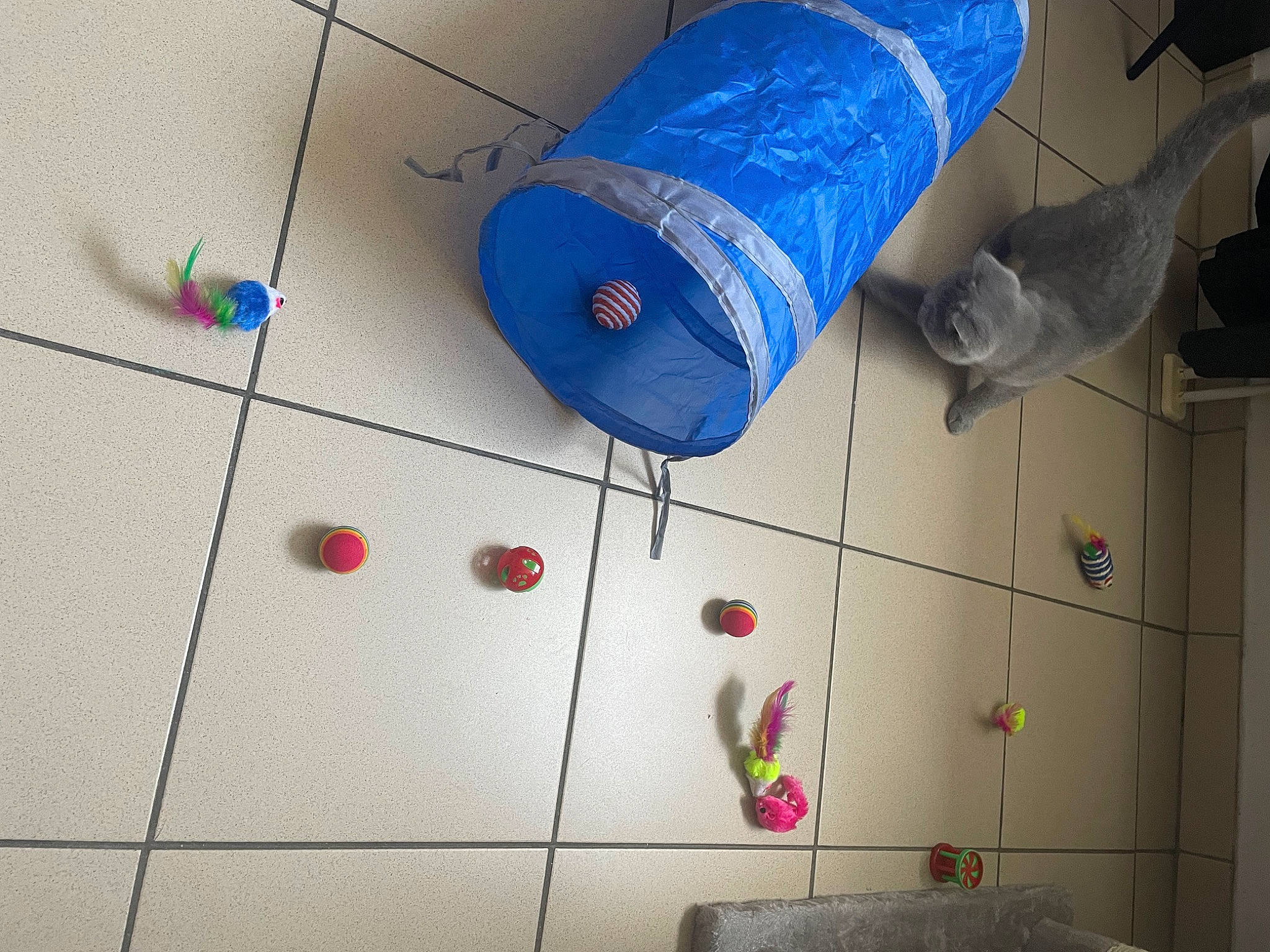 Baby Blue a rejoint le concours — aidez-le/la à gagner de superbes lots ! blue, carmine, circle, concrete, electric_blue, floor, flooring, font, gas, line, magenta, pattern, recreation, rectangle, red, room, space, symmetry, tints_and_shades, wood