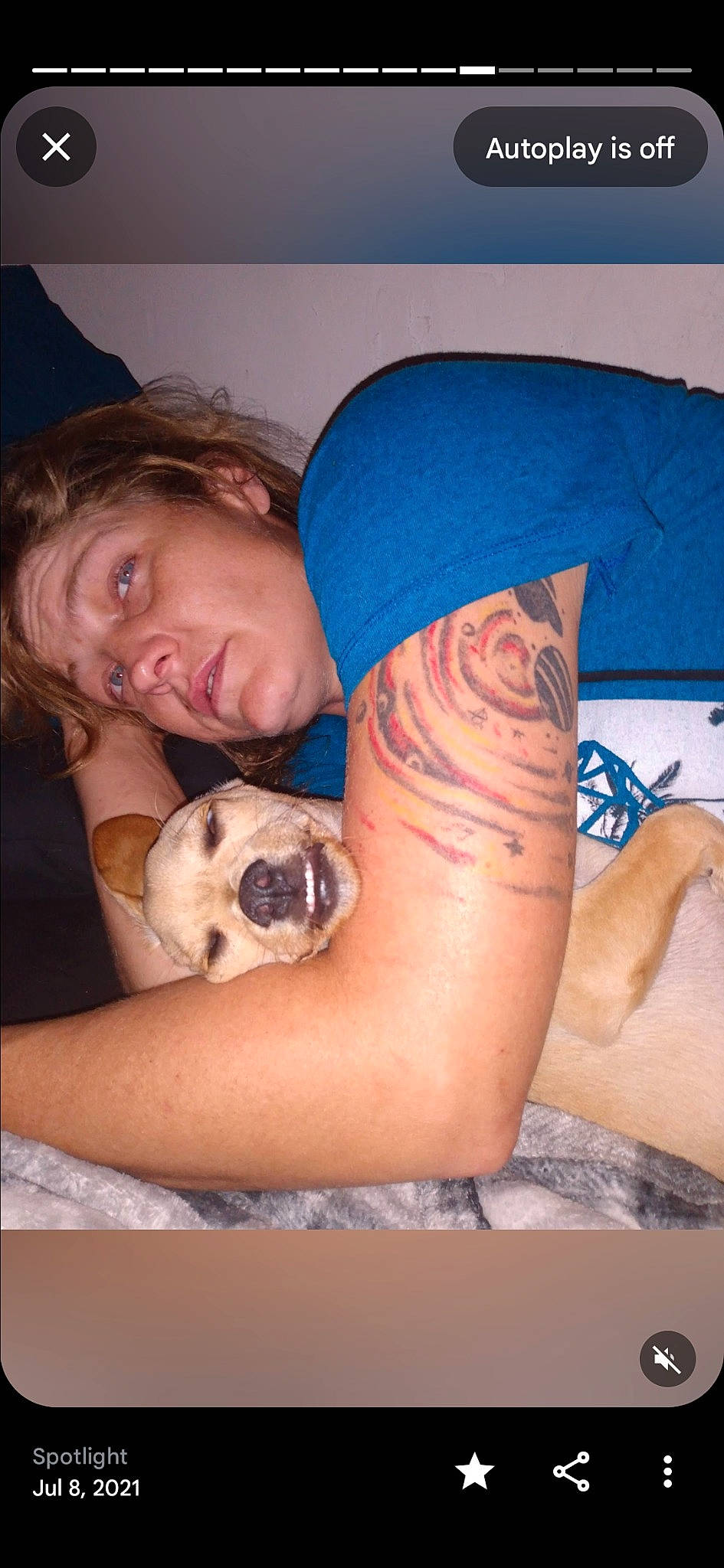 Paco joined the competition — help win amazing prizes! abdomen, arm, carnivore, comfort, companion_dog, cool, couch, dog, dog_breed, elbow, fawn, human_body, knee, leg, mouth, muscle, shoulder, skin, thigh, trunk