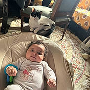 Dania a rejoint le concours — aidez-le/la à gagner de superbes lots ! baby, infant, cat, chair, baby_seat, onesie, toy, curly_hair, indoor, carpet, furniture, pet, animal, cute, relaxed, home, cozy, portrait, child, smiling