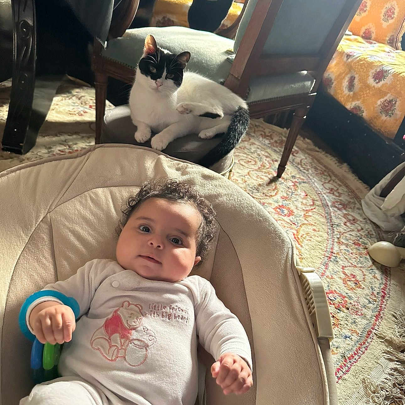 Dania a rejoint le concours — aidez-le/la à gagner de superbes lots ! animal, baby, baby_seat, carpet, cat, chair, child, cozy, curly_hair, cute, furniture, home, indoor, infant, onesie, pet, portrait, relaxed, smiling, toy
