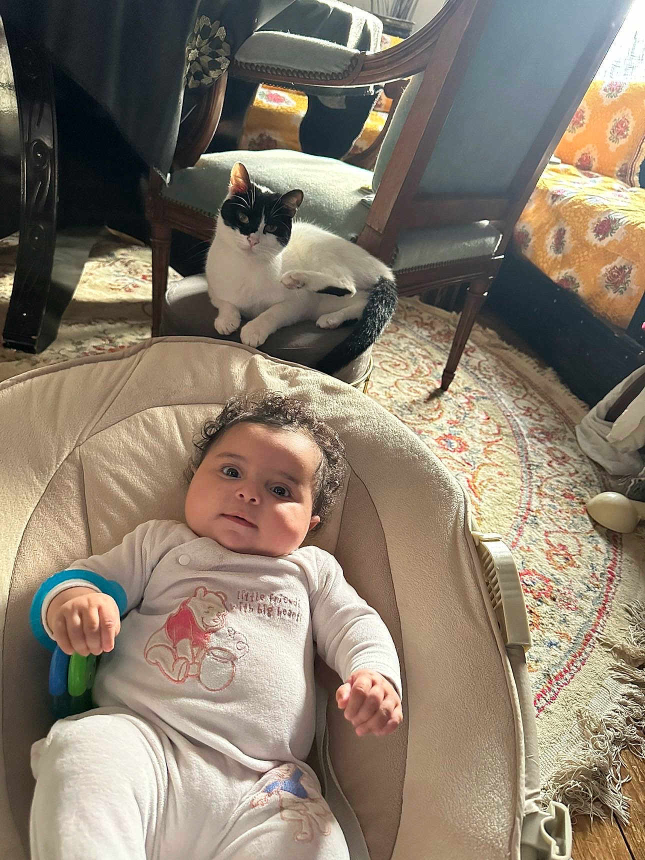 Dania a rejoint le concours — aidez-le/la à gagner de superbes lots ! baby, infant, cat, chair, baby_seat, onesie, toy, curly_hair, indoor, carpet, furniture, pet, animal, cute, relaxed, home, cozy, portrait, child, smiling