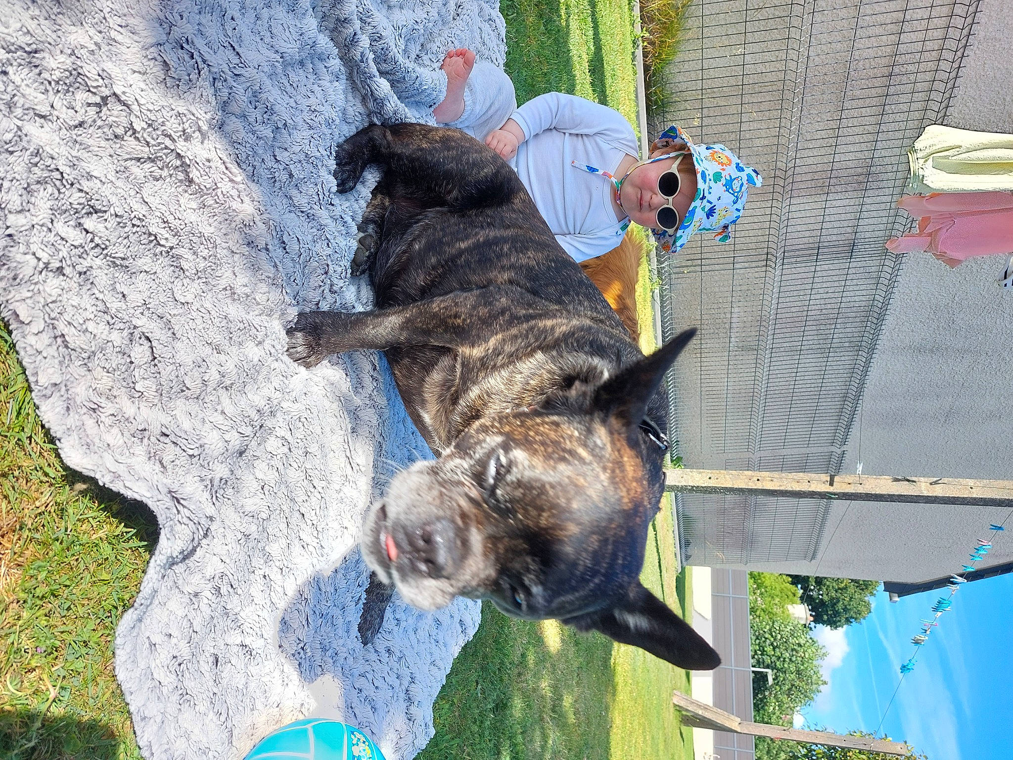 Maïka participe au concours pour gagner de l'argent avec cette photo : adventure, animal_training, canidae, carnivore, collar, dog, dog_breed, fun, guard_dog, leash, leisure, pet_supply, plant, recreation, sporting_group, tail, tree, trunk, working_animal, working_dog