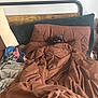 Smokey joined the competition — help win amazing prizes! animal, bed, black_cat, blanket, brown, cat, comforter, cozy, curious, cushion, domestic, furniture, household, indoor, pet, pillow, relaxing, resting, sleeping_area, soft