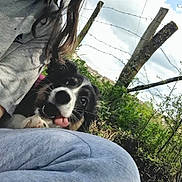 Aïka a rejoint le concours — aidez-le/la à gagner de superbes lots ! animal, black_and_white, casual, cloudy, crouching, daytime, dog, grass, grey_clothing, nature, outdoor, person, pet, playful, relaxed, sky, smiling, tongue_out, trees, wire_fence