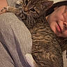 cat, kitten, tabby, person, indoor, window, gray_shirt, tattoo, glasses, pet, close_up, cute, relaxed, animal, feline, resting, young_cat, human, face, comfort