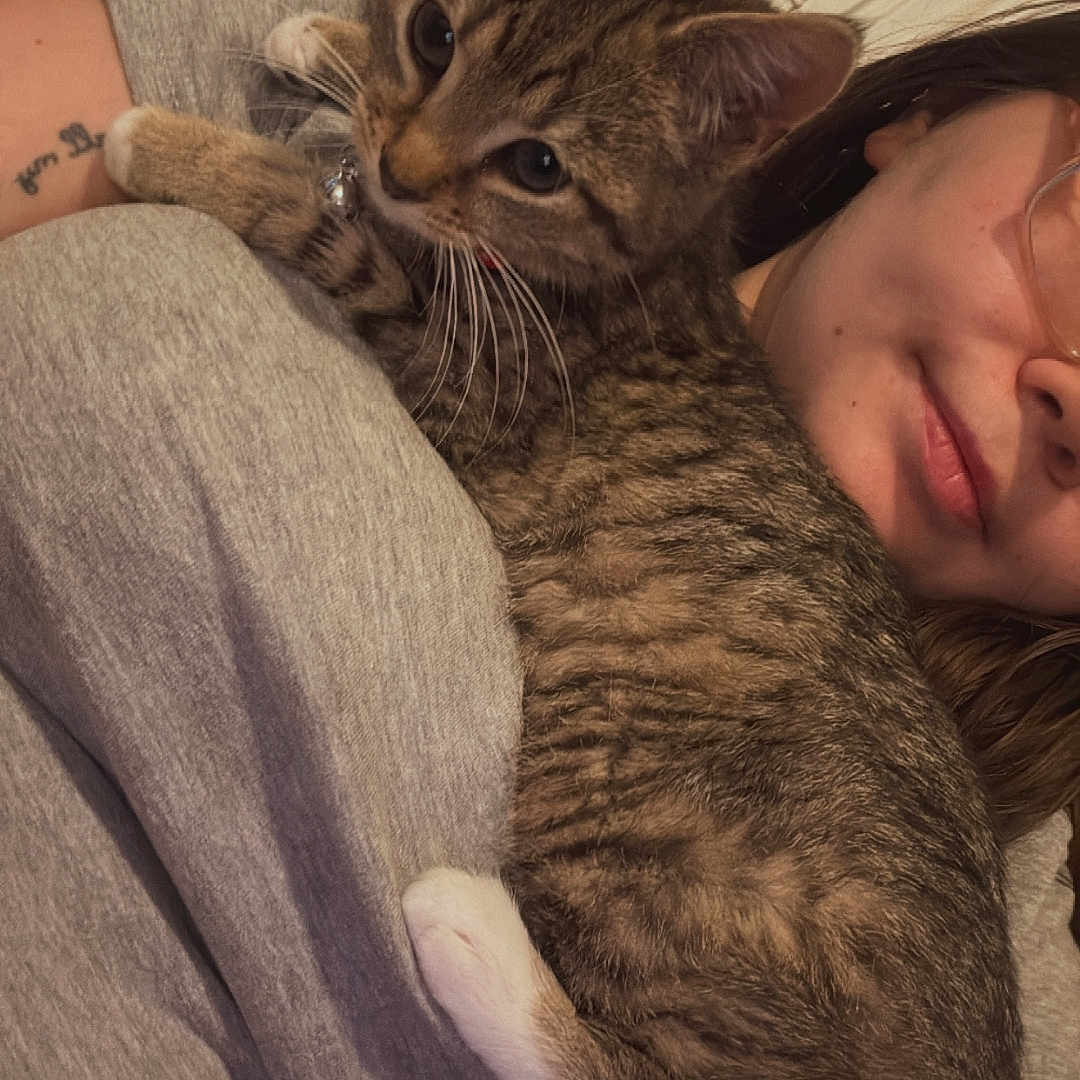 Nala is registered to the contest to win money with this photo: cat, kitten, tabby, person, indoor, window, gray_shirt, tattoo, glasses, pet, close_up, cute, relaxed, animal, feline, resting, young_cat, human, face, comfort