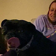 Minnie is registered to the contest to win money with this photo: dog, black_dog, person, indoor, bed, blanket, smiling, tongue_out, purple_hoodie, wall, furniture, pet, companion, casual, home, cozy, animal, mammal, portrait, relaxed