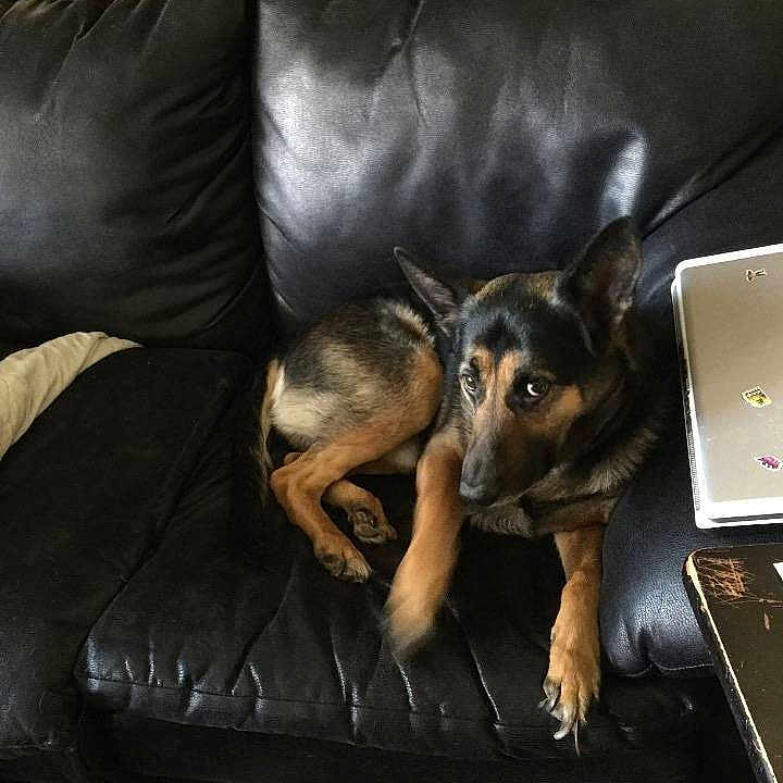 Max