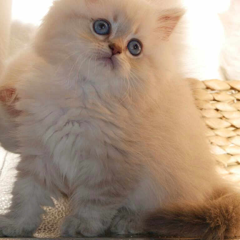 Uky