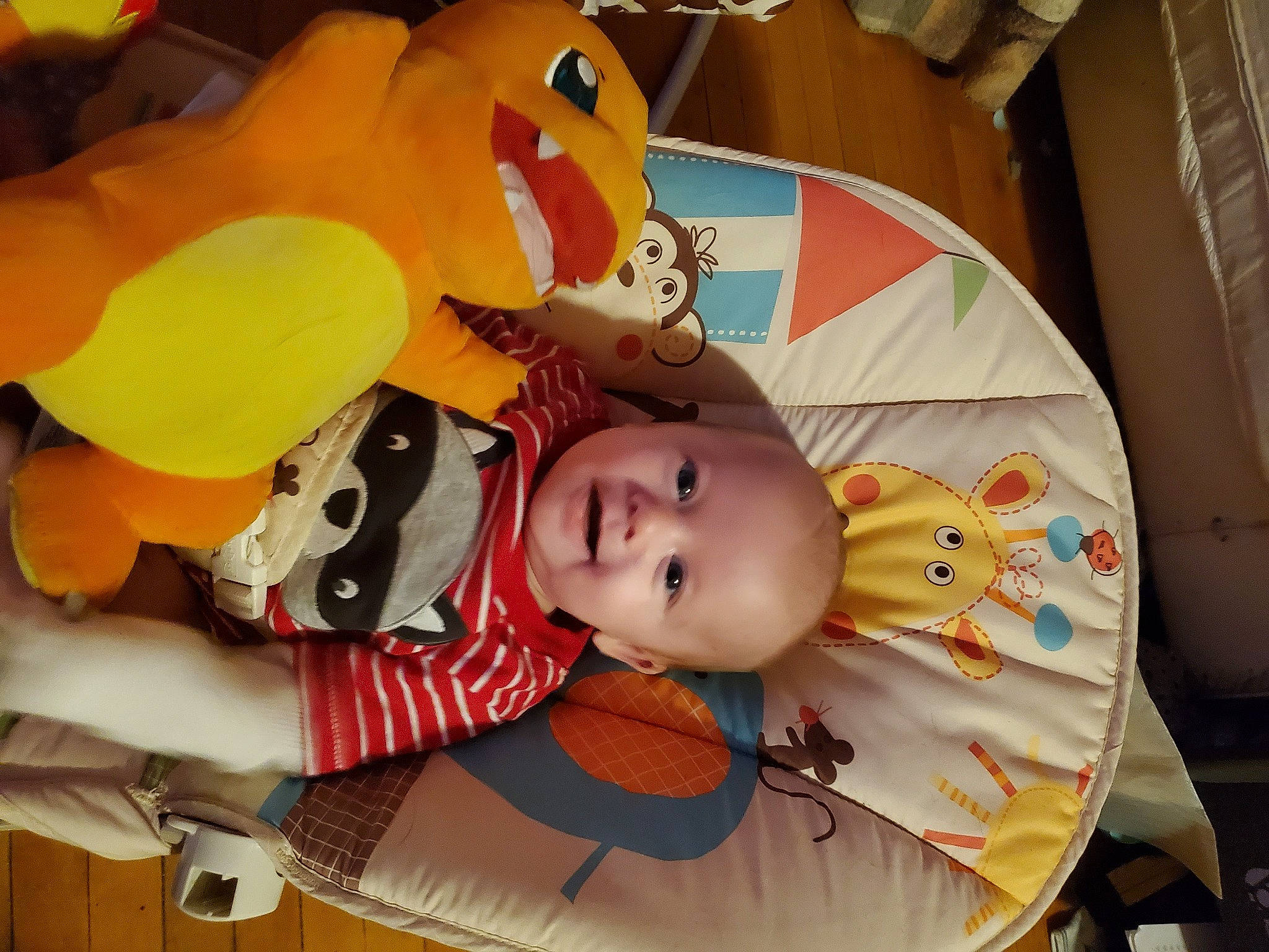 Aiden joined the competition — help win amazing prizes! baby, baby_products, baby_toddler_clothing, baby_toys, beak, bird, orange, person, plush, stuffed_toy, toy, yellow