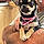 Abby