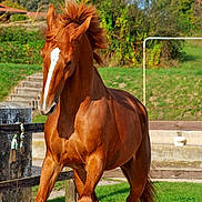 Tu M'aimes Tout Court participe au concours pour gagner de l'argent avec cette photo :