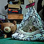 Roxy Rose is registered to the contest to win money with this photo: dog, small_dog, tent, pet_bed, indoor, carpet, stuffed_animal, bear_stool, box, storage, cozy, cute, animal, pet, home, decor, fabric, tongue_out, resting, furniture