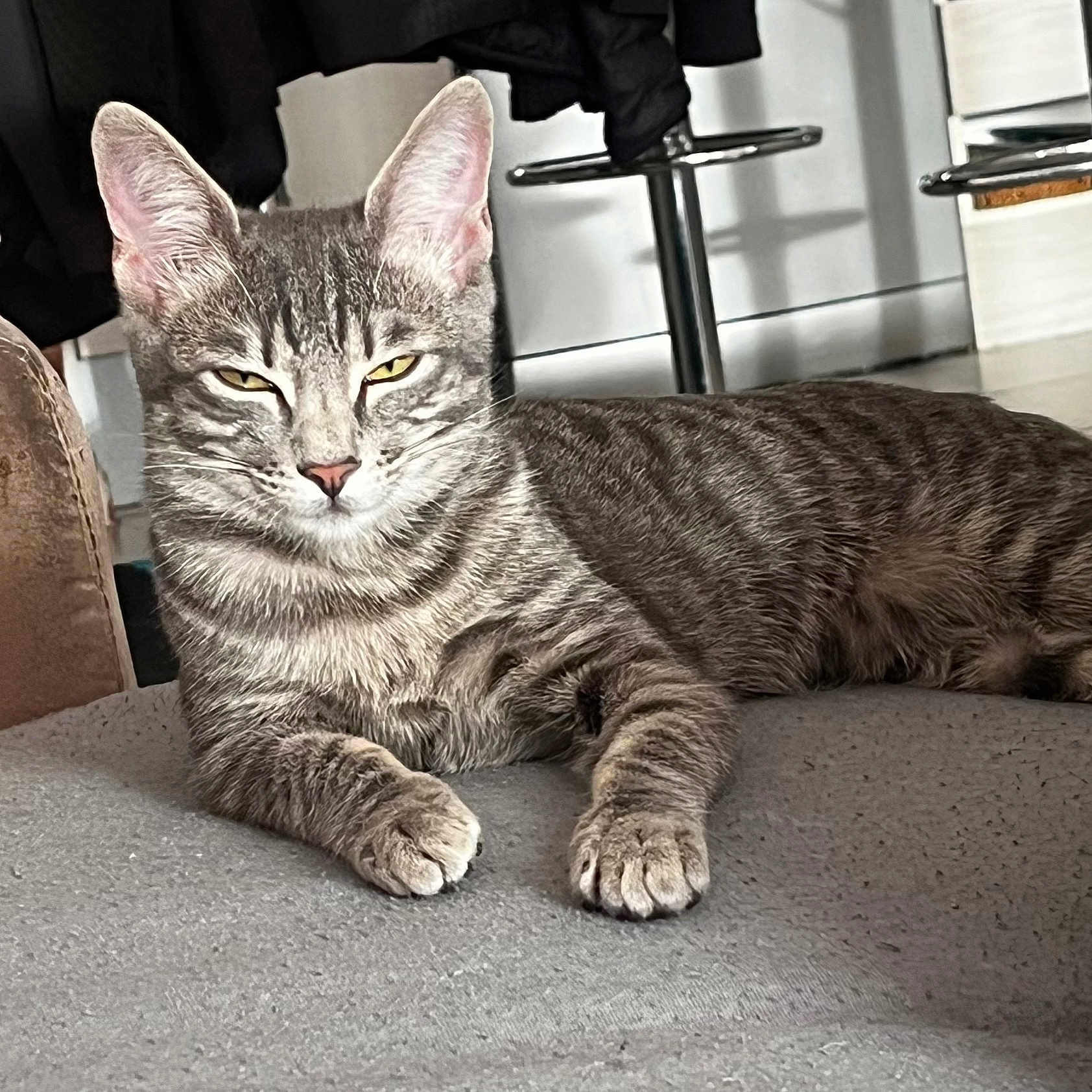 Bella