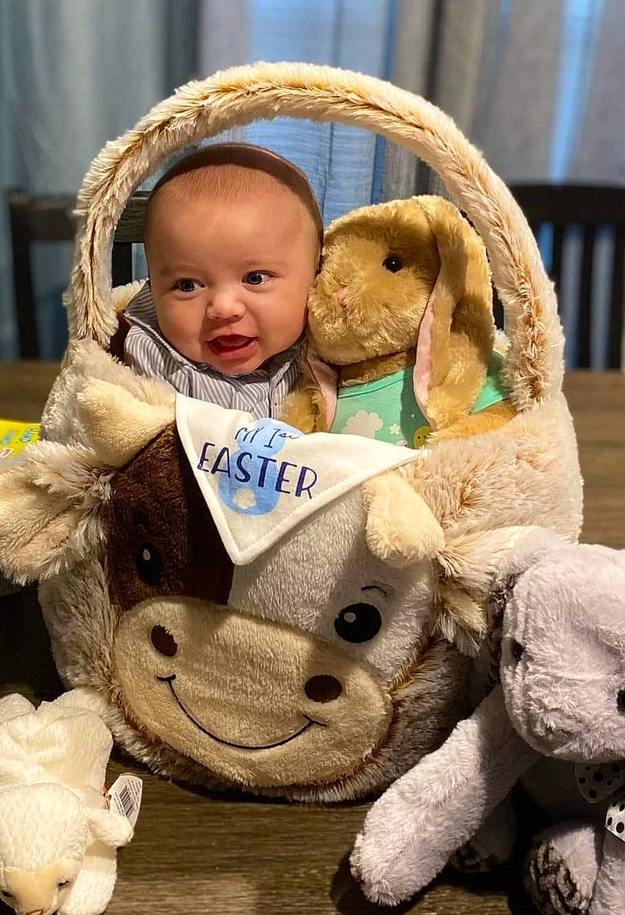 Waylon is registered to the contest to win money with this photo: baby, baby_products, baby_toddler_clothing, cheek, child, curtain, fawn, fun, fur, happy, mammal, person, plush, product, sitting, skin, stuffed_toy, textile, toddler, toy