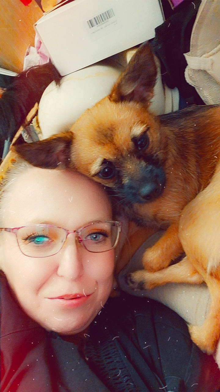 Munchkin is registered to the contest to win money with this photo: canidae, carnivore, companion_dog, dog, dog_breed, ear, eyelash, eyewear, fawn, fur, glasses, happy, selfie, shipping_box, snout, sporting_group, sunglasses, toy_dog, vision_care, working_animal