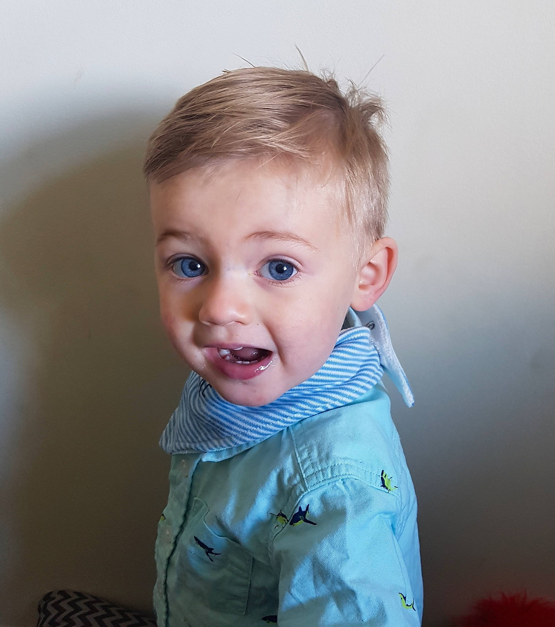 Jensen joined the competition — help win amazing prizes! baby, cheek, child, chin, eye, eyebrow, face, facial_expression, forehead, hair, hairstyle, head, iris, lip, nose, organ, person, skin, smile, standing