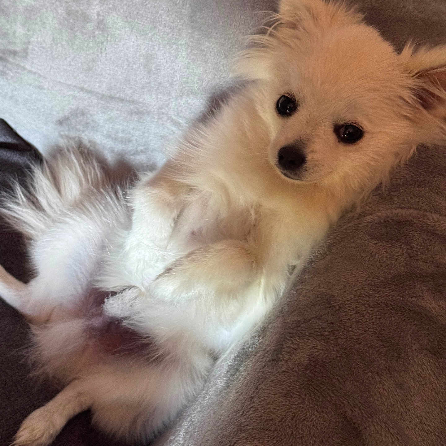 Bouba