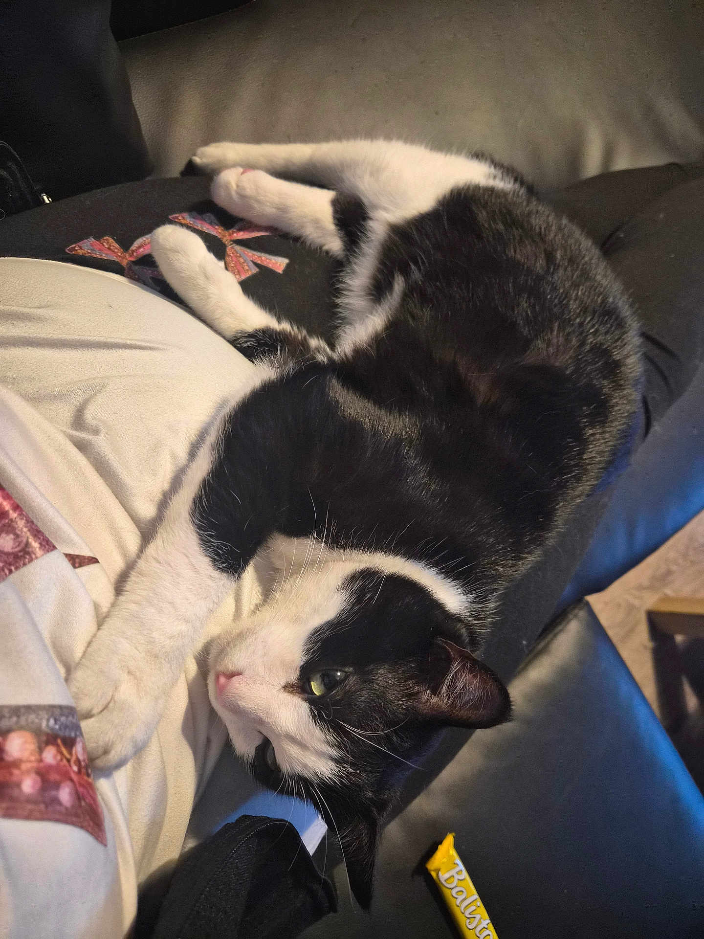 Ares a rejoint le concours — aidez-le/la à gagner de superbes lots ! cat, black_and_white, pet, feline, lap, person, clothing, couch, indoor, relaxing, fur, whiskers, snack_wrapper, yellow, comfort, curious, animal, resting, close_up, soft_lighting