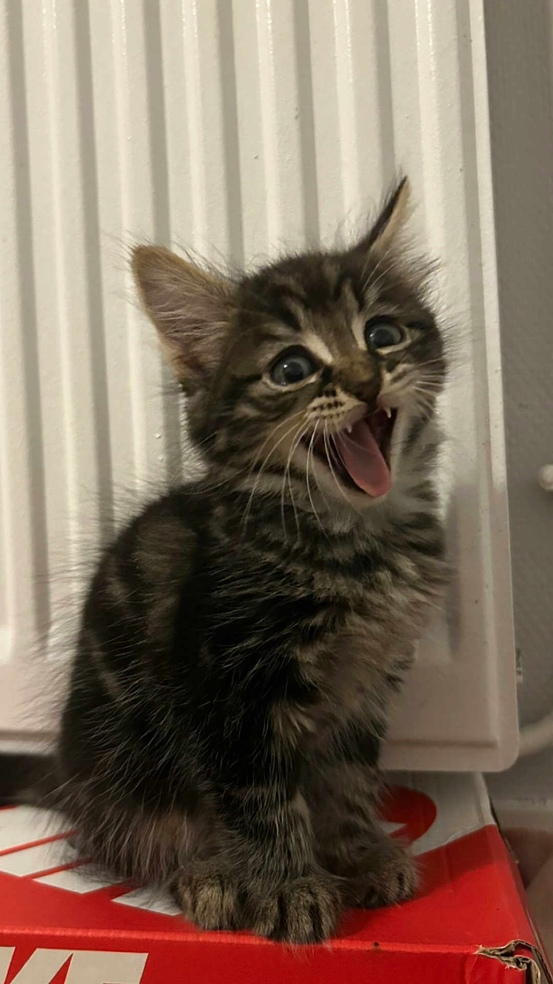 Milo