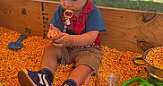 Isaiah is registered to the contest to win money with this photo: toddler, child, sandbox, corn_kernels, pacifier, toys, watering_can, measuring_cup, toy_vehicle, outdoor, grass, wooden_box, casual_clothing, shorts, sneakers, playtime, summer, daylight, person, background