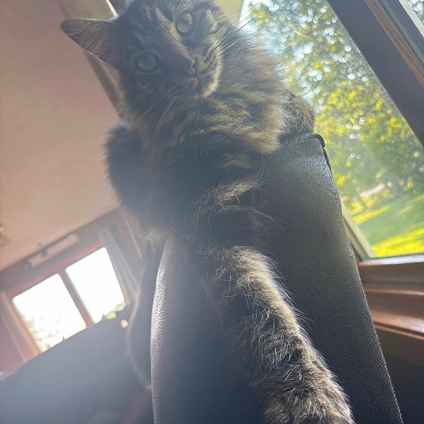 Tigger