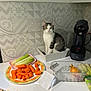 Gulio participe au concours pour gagner de l'argent avec cette photo : carrots, cat, coffee_machine, container, countertop, curious, domestic, food_preparation, gray, household, indoor, kitchen, leeks, onion, pet, still_life, striped, toaster, vegetables, white