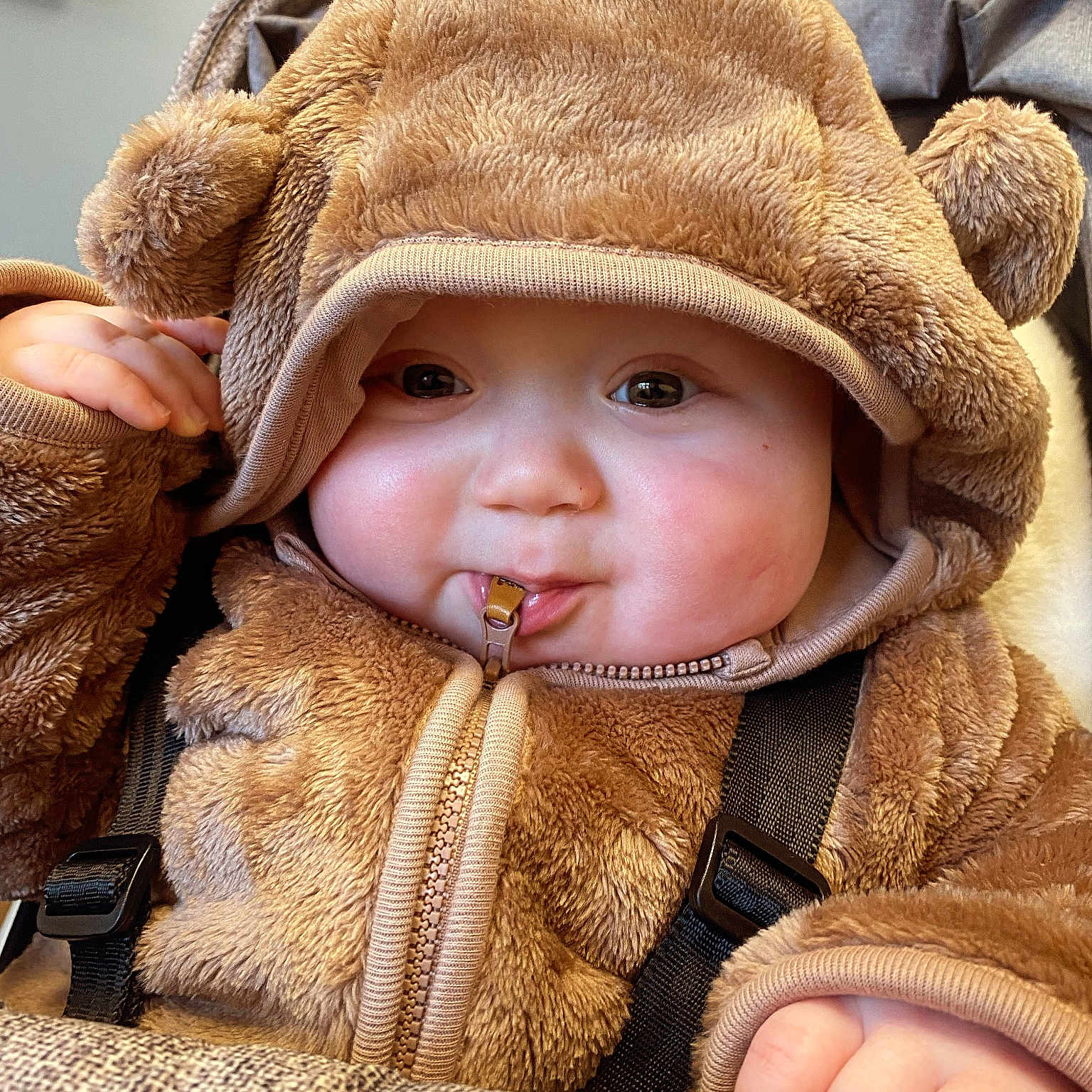 Elliott joined the competition — help win amazing prizes! alloywheel, baby, baseball, baseballcap, baseballglove, beanie, blanket, bodypart, bonnet, cap, car, car_interior, carseat, carwheel, clothing, coat, couch, countryside, cream, cutlery