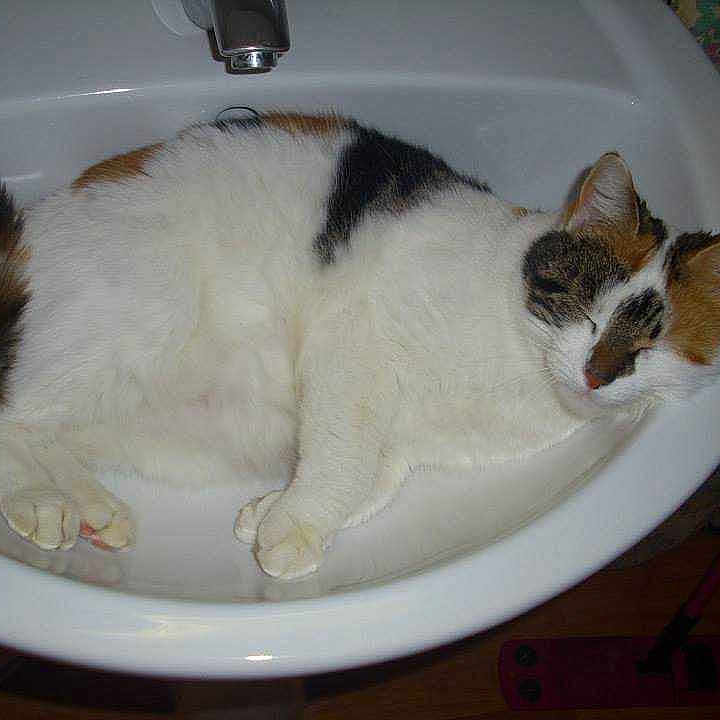 NOUNOUTTE