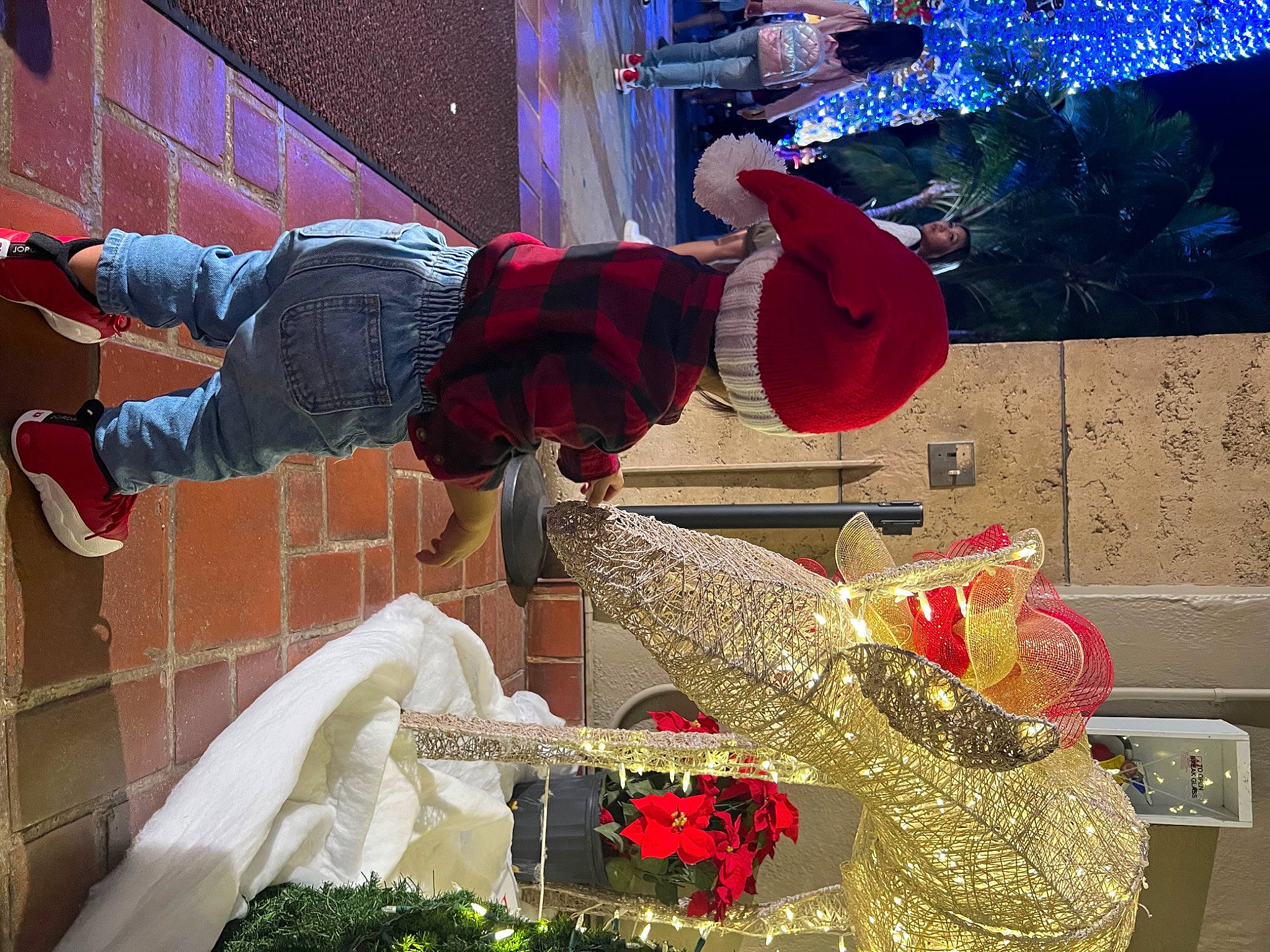 Mason Mikhail is registered to the contest to win money with this photo: carmine, christmas, christmas_decoration, cut_flowers, decoration, event, floral_design, floristry, flower_arranging, fun, happy, leisure, magenta, ornament, person, plant, red, snapshot, textile, tradition