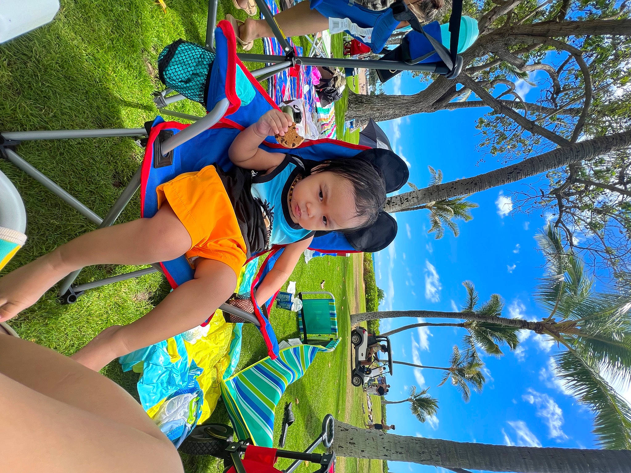 Mason joined the competition — help win amazing prizes! azure, child, city, electric_blue, fun, happy, hat, leaf, leisure, outdoor_play_equipment, people_in_nature, person, playground, public_space, recreation, shorts, sky, spring, toddler, tree