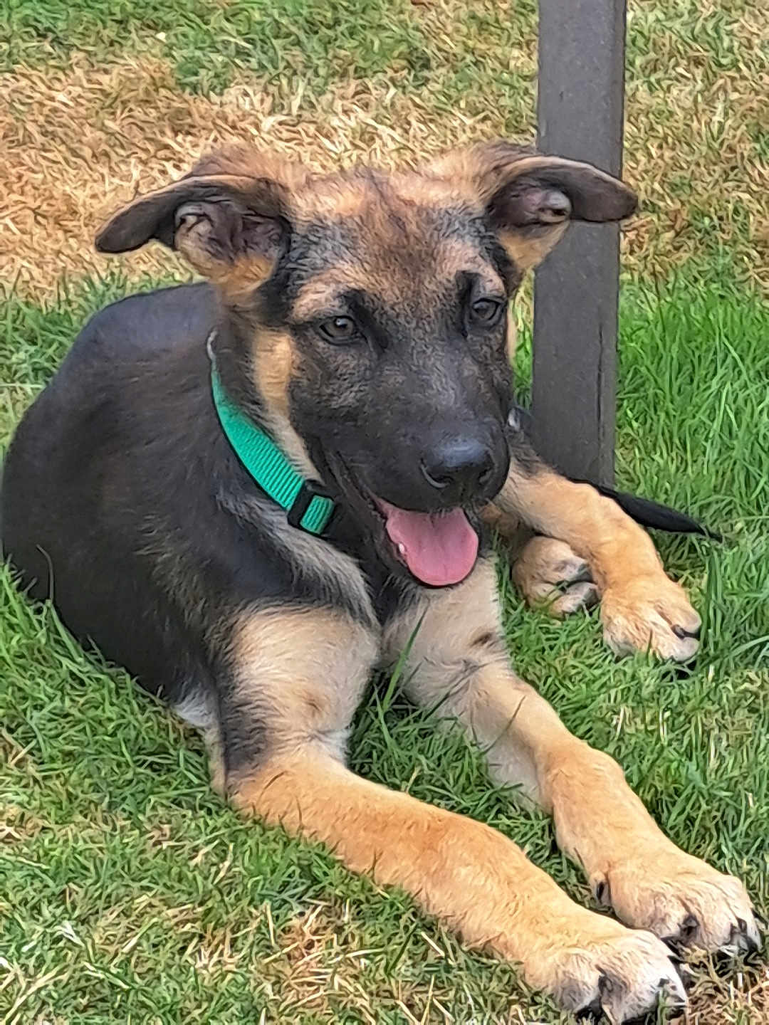 Oliver