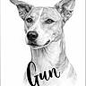 Gun a rejoint le concours — aidez-le/la à gagner de superbes lots ! animal, black_and_white, calm, canine, close_up, dog, ears, expression, face, fur, head, looking_away, monochrome, name, pet, portrait, studio, stylish_text, text_overlay, whiskers