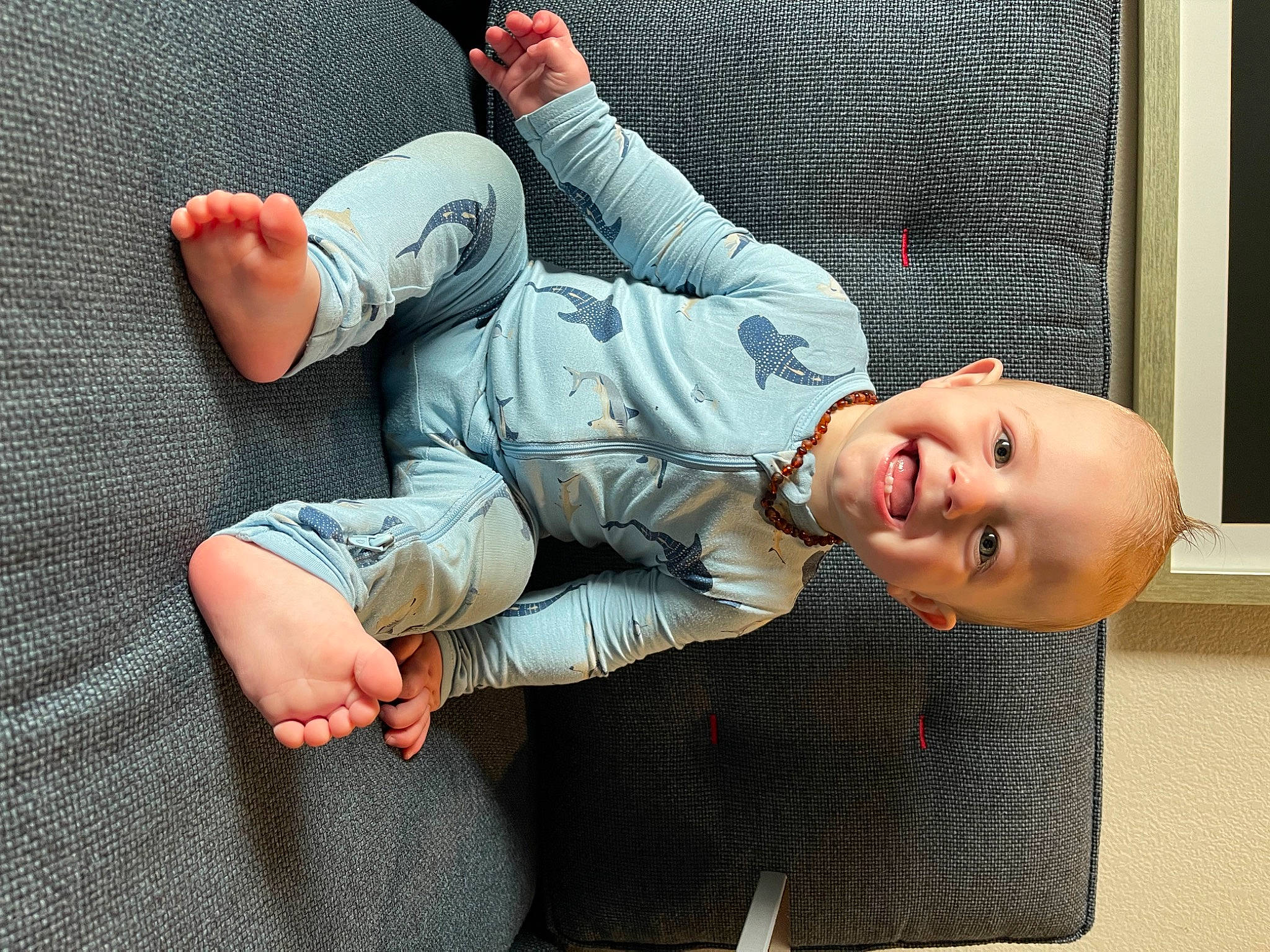Everett is registered to the contest to win money with this photo: baby, baby_toddler_clothing, child, comfort, elbow, finger, foot, fun, gesture, glasses, grass, happy, human_body, human_leg, joy, knee, person, sitting, skin, sleeve