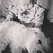 Séléna participe au concours pour gagner de l'argent avec cette photo : baby, child, dog, pet, fluffy, white_dog, couch, blanket, sweater, cute, indoors, cozy, portrait, monochrome, black_and_white, toddler, hand, face, animal, relaxing