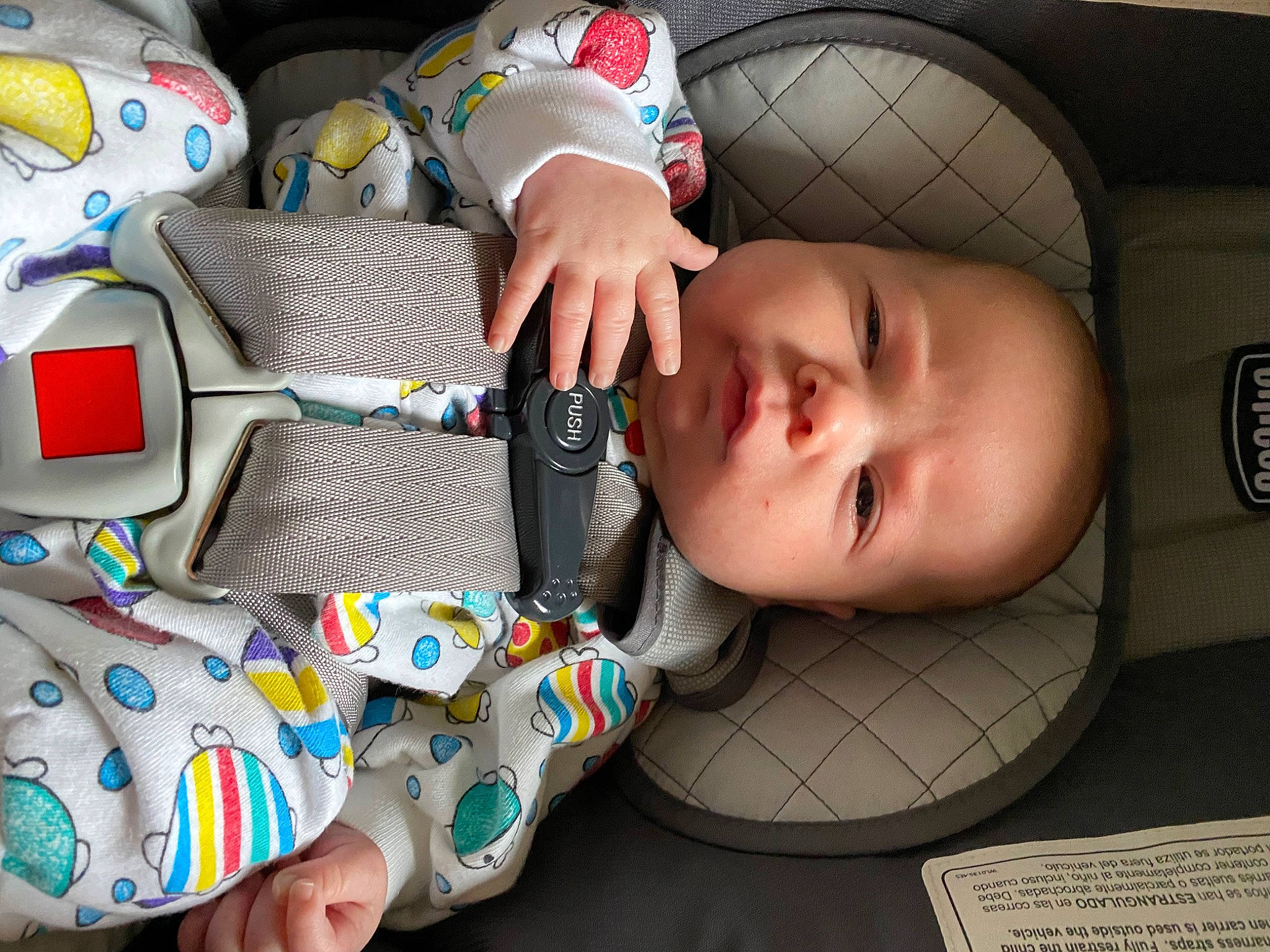 Finley joined the competition — help win amazing prizes! baby, baby_products, baby_toys, child, nap, person, play, product, toddler