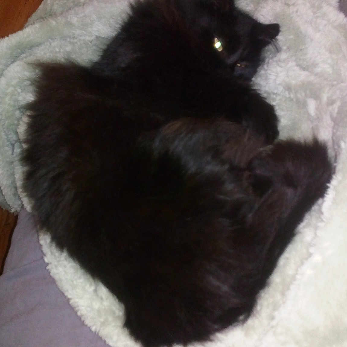 Pépite