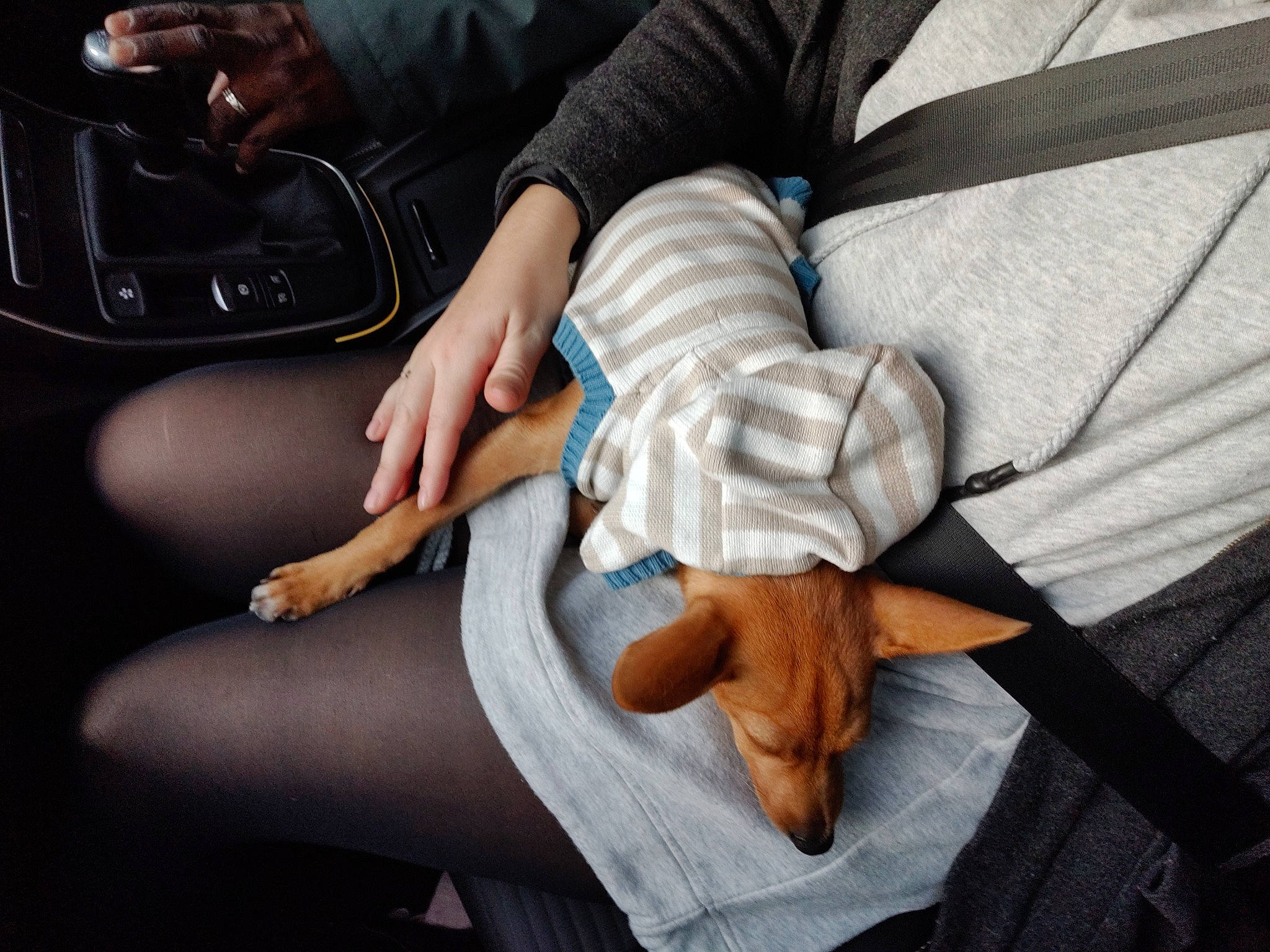 Chocapic participe au concours pour gagner de l'argent avec cette photo : arm, footwear, hand, human_leg, knee, leg, shoe, sitting