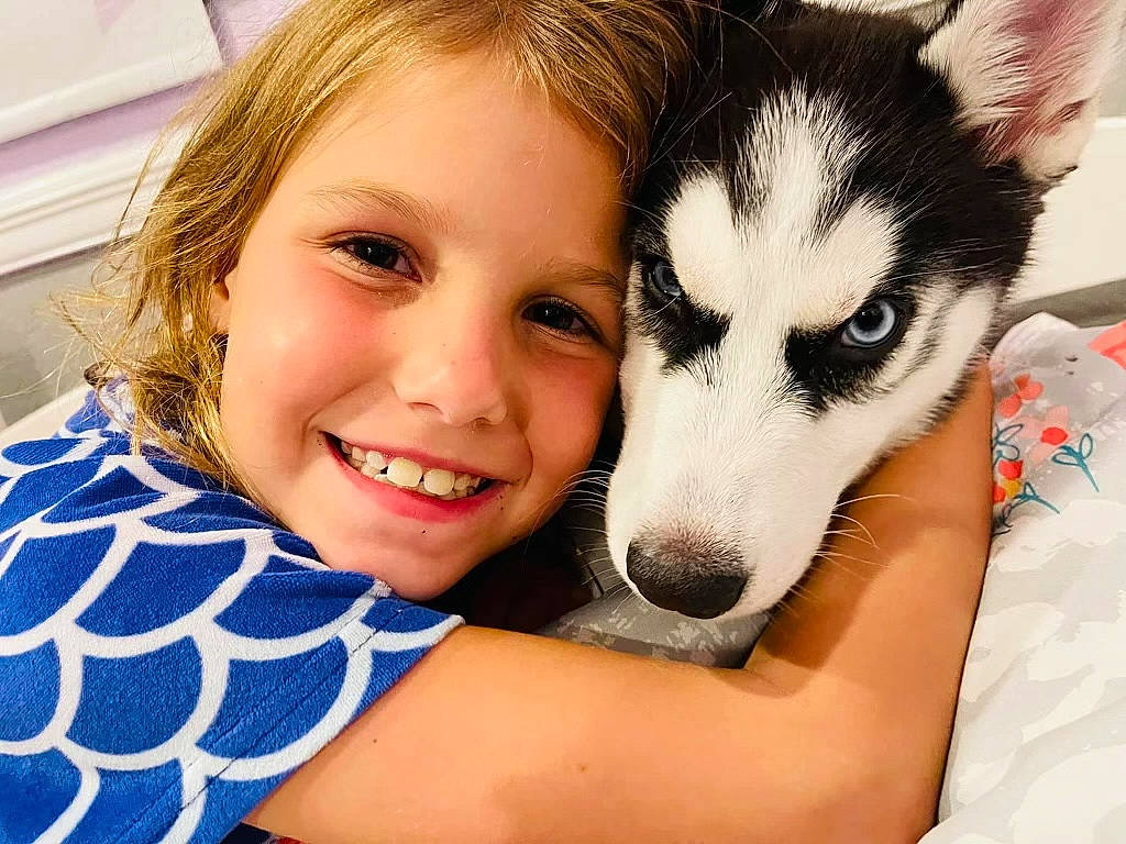 Nala is registered to the contest to win money with this photo: carnivore, companion_dog, dog, dog_breed, eye, fawn, fun, fur, grass, happy, iris, recreation, siberian_husky, sitting, skin, sled_dog, smile, snout, sporting_group, wildlife