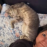 Arial joined the competition — help win amazing prizes! animal, bed, blanket, cat, closeup, comfort, cozy, cute, feline, floral_pattern, fur, headboard, indoor, nap, person, pet, pillow, relaxation, resting, sleeping
