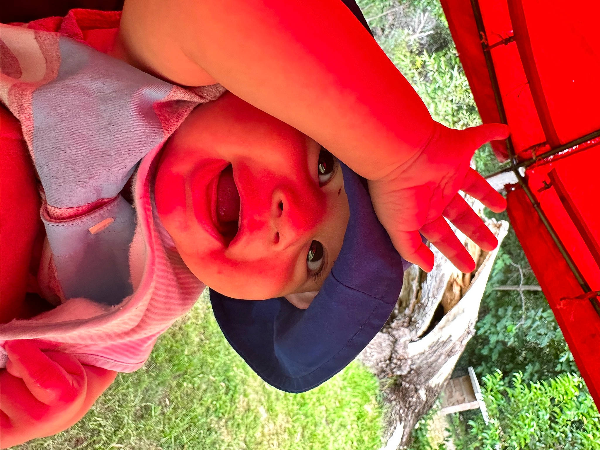Zaid joined the competition — help win amazing prizes! automotive_wheel_system, child, face, fun, grass, happy, hat, head, headwear, human_body, leaf, leisure, lip, mouth, nose, people_in_nature, person, plant, skin, smile
