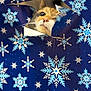 cat, curious, wrapping_paper, snowflakes, blue, holiday, festive, tear, peeking, cute, animal, face, whiskers, nose, closeup, indoor, pet, playful, surprise, paper