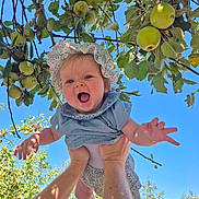 Esmée participe au concours pour gagner de l'argent avec cette photo : baby, child, smiling, happy, outdoors, apple_tree, fruit, green_apples, blue_sky, sunlight, nature, hands, playful, bonnet, clothing, person, arms, joy, summer, garden