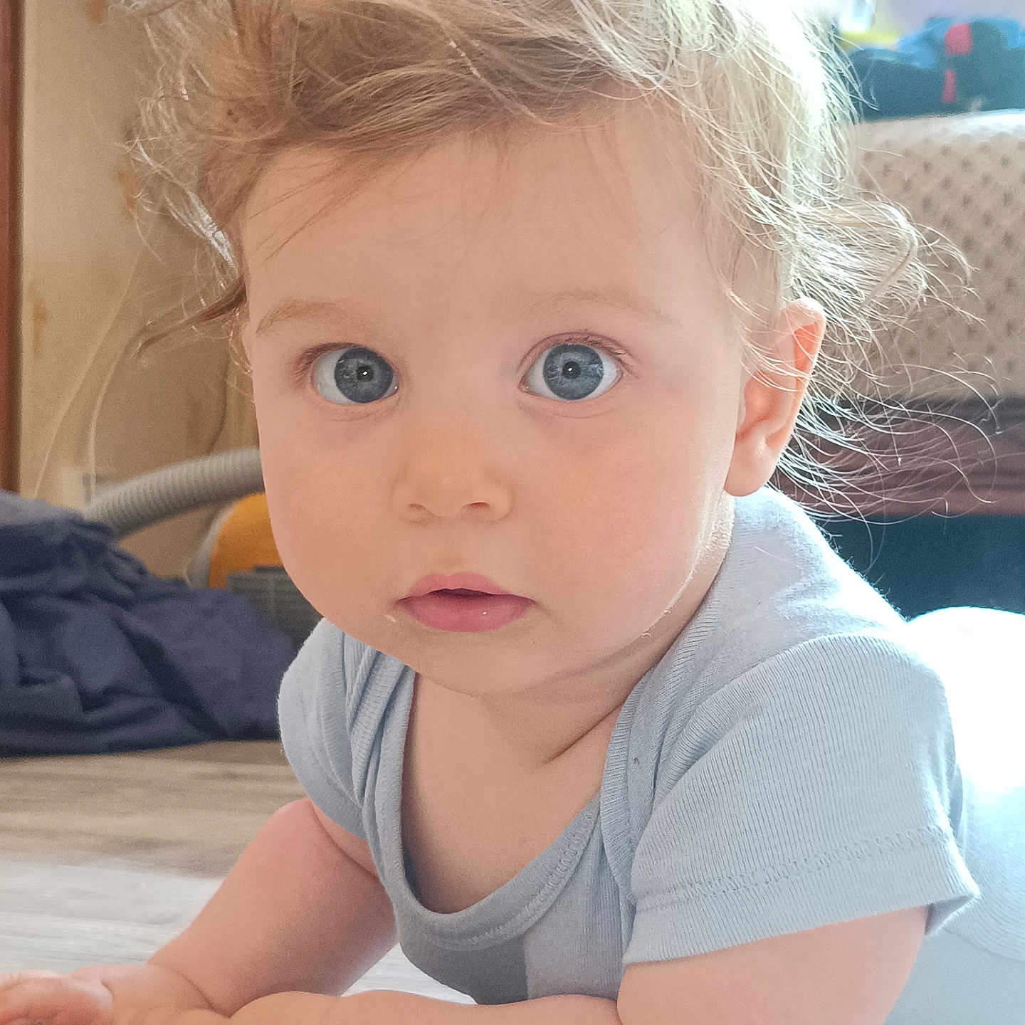 Giulia a rejoint le concours — aidez-le/la à gagner de superbes lots ! baby, blonde_hair, blue_eyes, child, closeup, crawling, curious, cute, expression, face, floor, hands, indoor, infant, onesie, person, portrait, skin, toddler, young