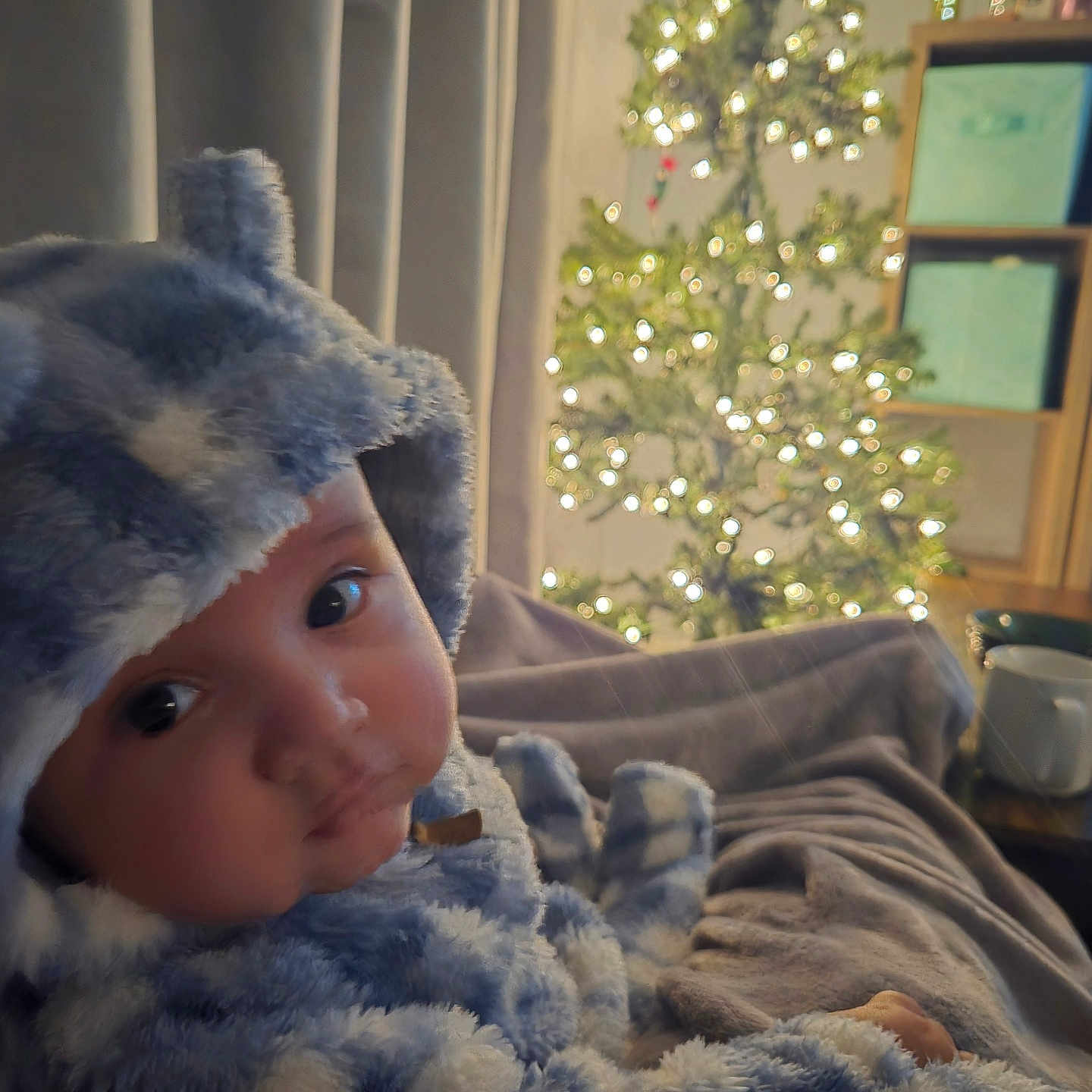 Ezra is registered to the contest to win money with this photo: baby, blanket, bonnet, cap, clothing, couch, face, fir, furniture, hat, head, hood, hoodie, knitwear, person, photography, plant, portrait, sweater, sweatshirt